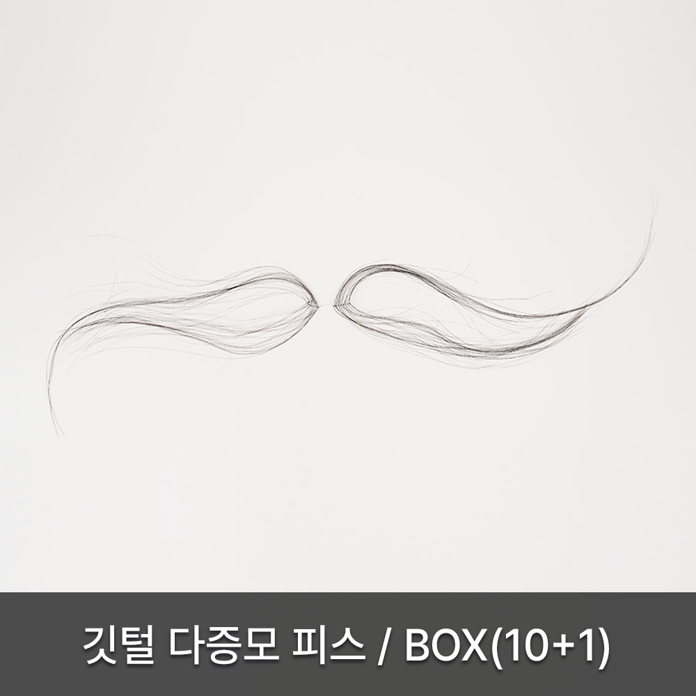 깃털 다증모 피스/BOX(10+1)(기간한정, 수량한정)